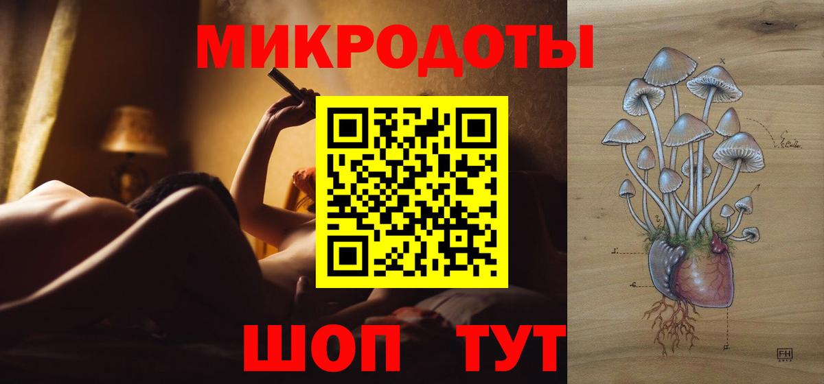 Верхняя Салда  Галлюциногенные грибы прущие грибы  Вход с VPN 